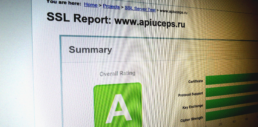 SSL — сертификат RapidSSL