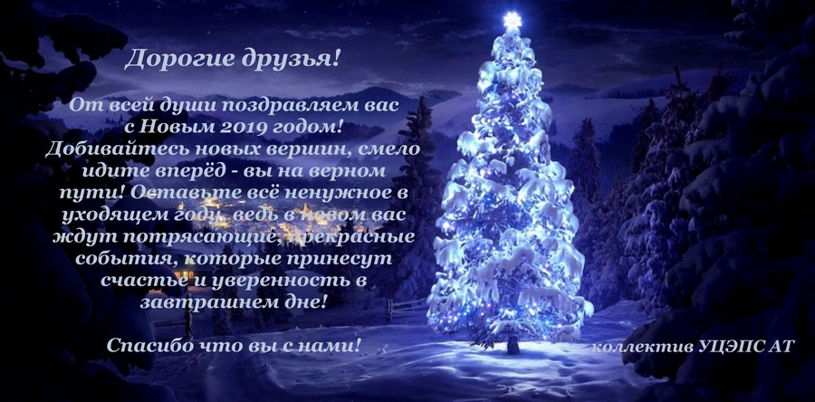 С новым 2019 годом!